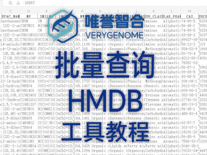 顺利物流官网_ce家族社官网最新地址_如何在tp官网获取最新地址与安装指导，确保下载顺利？