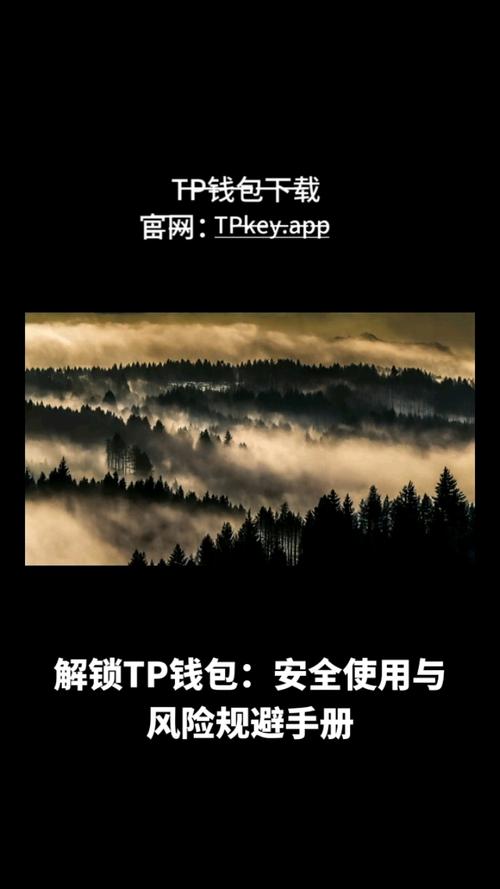下载安装正版TP应用增强资产安全，这些操作细节要注意