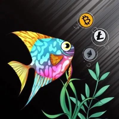 钱包市场现状分析_钱包体系_如何评估tp钱包最新版本的资金安全性与投资回报？
